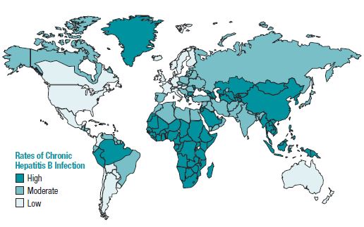 Verspreiding HBV over de wereld