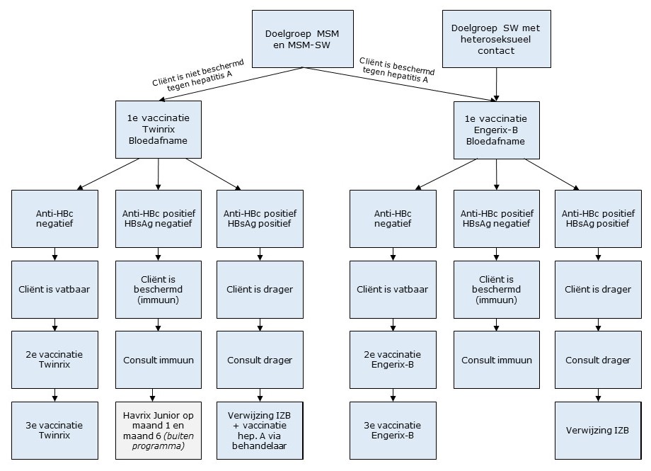 Stroomschema vaccinatie HBV-programma