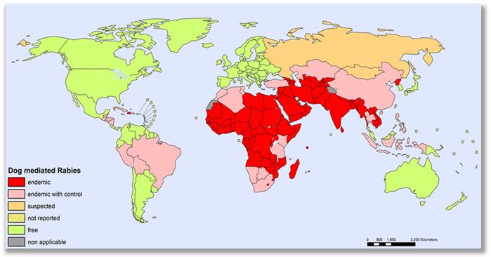 Wereldkaart met daarop de gebieden waar rabiës voorkomt bij de hond
