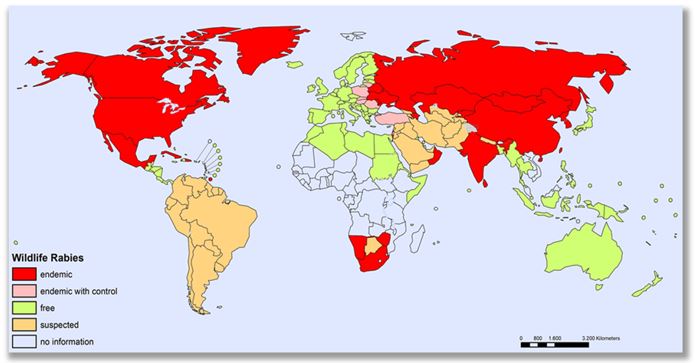 Wereldkaart met daarop de gebieden waar rabiës voorkomt bij dieren in het wild