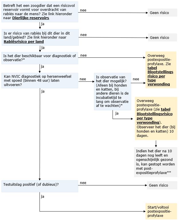 Stappenplan voor de rabiësrisicobeoordeling van de bron