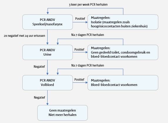Het figuur geeft een samenvatting van het testbeleid en de maatregelen na ontslag uit het ziekenhuis na een andesvirusinfectie 