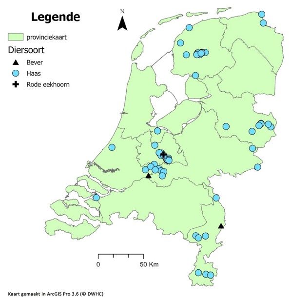 Kaart van Nederland met daarop de vastgestelde gevallen van tularemie in wilde zoogdieren in de periode 2013-2025