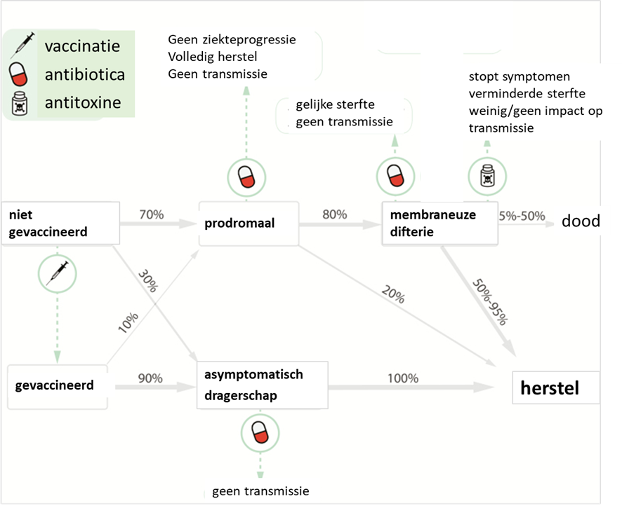 Figuur 1. Natuurlijk verloop van difterie