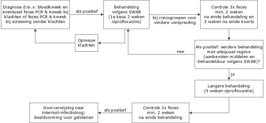 Stroomdiagram diagnostiek en behandeling buik- en paratyfus